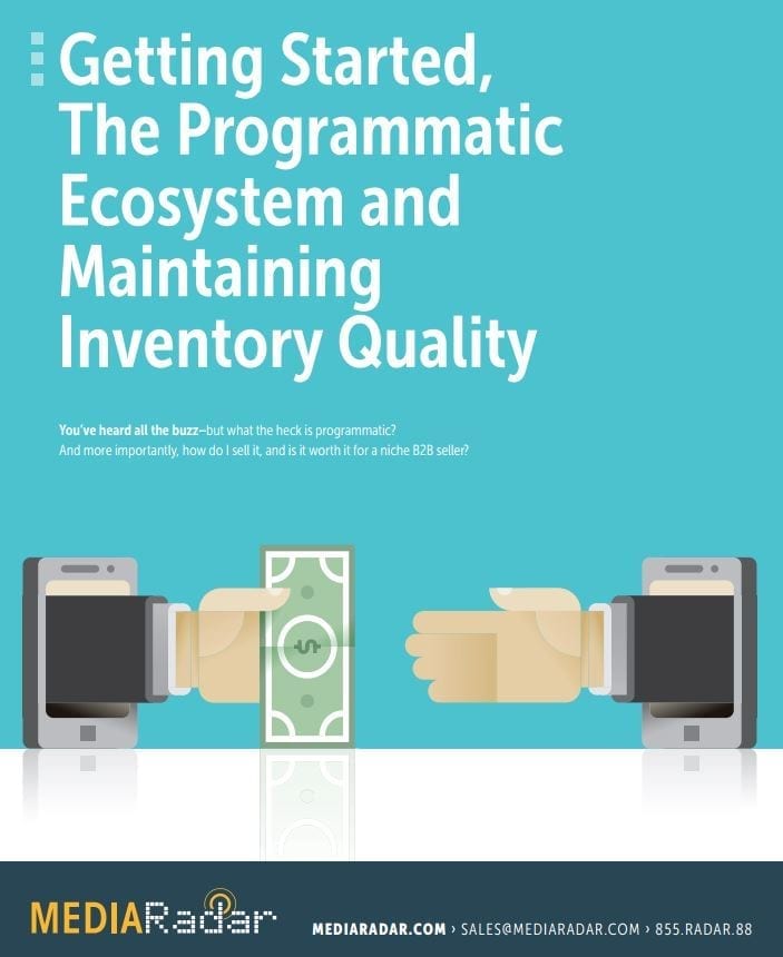 Programmatic for B2B